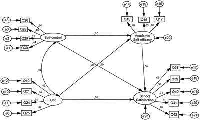 The Role of Self-control and Grit in Domains of School Success in Students of Primary and Secondary School